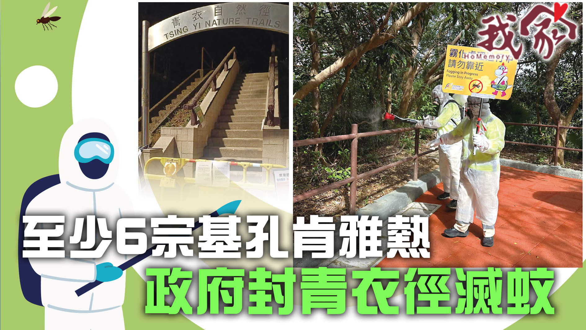 (荃灣葵青離島)至少6宗基孔肯雅熱  政府封青衣徑滅蚊